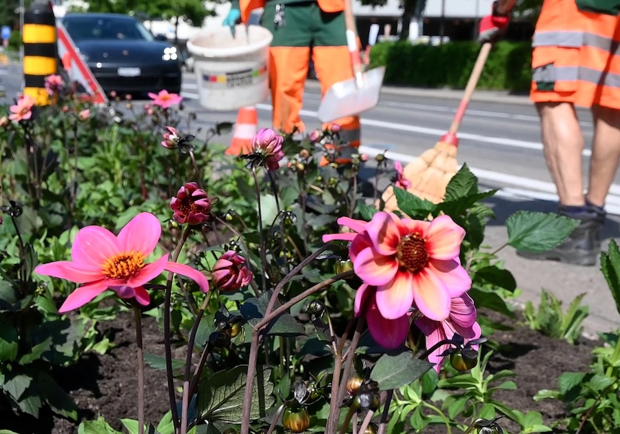 duebendorf erblueht fertig mit untertitel ohne autokennzeichen.00 00 33 21.standbild001 2
